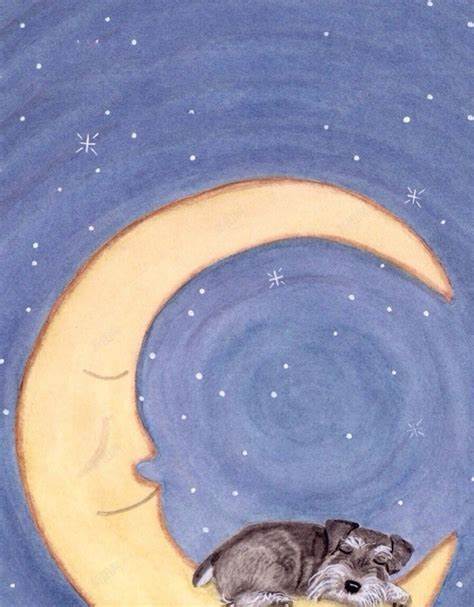 月亮上的狗 - 简书