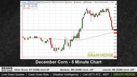 Corn Holding onto Gains Following Overnight Strength