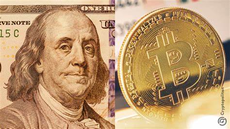Why betting on Bitcoin as the dollar collapses could wreck small investors