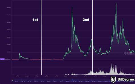Litecoin Miners Would Be at Risk of Bankruptcy After the Halving If It Weren’t for Dogecoin - BeInCrypto