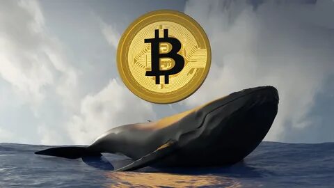 Crypto Traders Are Hunting a $521 Million Bitcoin Whale—Here's Why - Decrypt