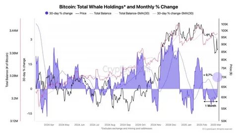 Bitcoin (BTC) Price Prediction & Analysis: Could Government Reserves Push BTC to $200k? - CoinCentral