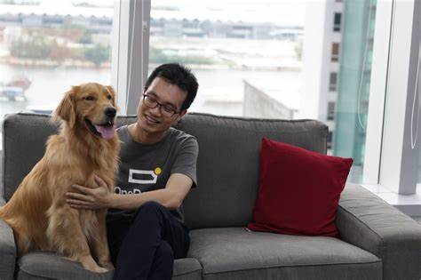 Hong Kong virtual insurer OneDegree widens cryptocurrency coverage to 