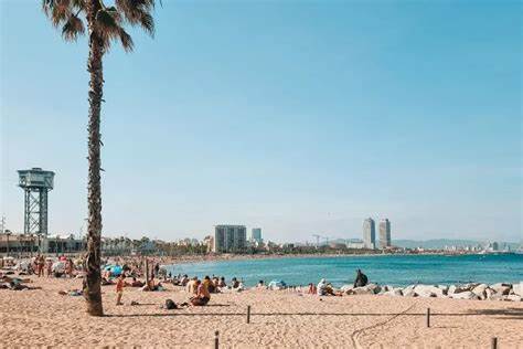 12 cosas que ver y hacer en la Barceloneta - Los Traveleros