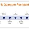 Efficient Quantum-Safe Homomorphic Encryption for Quantum Computer Programs