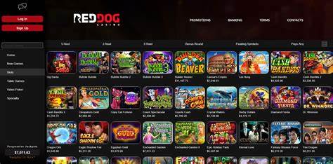 Red Dog Casino Sets New Standards In iGaming Worldwide - Casino News Daily