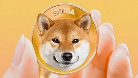 Bitcoin Flirts With ATH as Dog Meme Coins like Shiba Inu Take Center Stage: This Week’s Crypto Recap - CryptoPotato