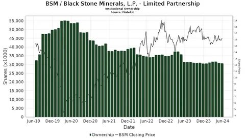 Is Black Stone Minerals (BSM) the Top Oil & Gas E&P Stock Outperforming Despite Sinking Oil Prices?
