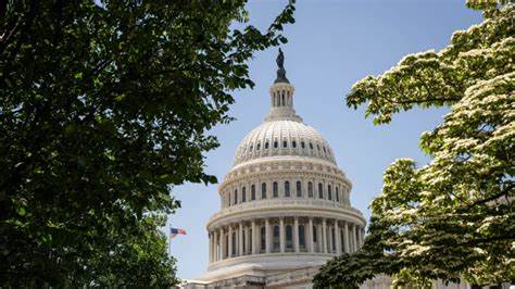 Lummis Says Congress Needs To Set Cryptocurrency Rules By End Of Year