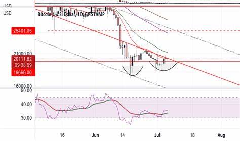 Bitcoin Local Bottom In? Analyst Offers Insights - TradingView