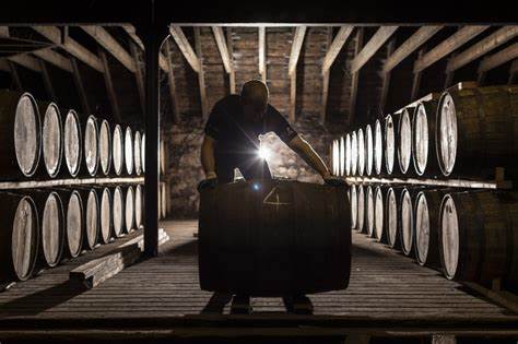 Distilling the Cloud: The Journey Continues