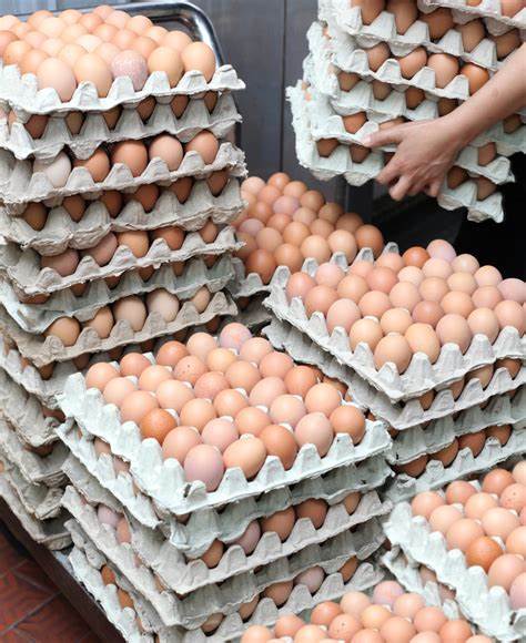 Vital Farms, Inc. (VITL): A Bull Case Theory