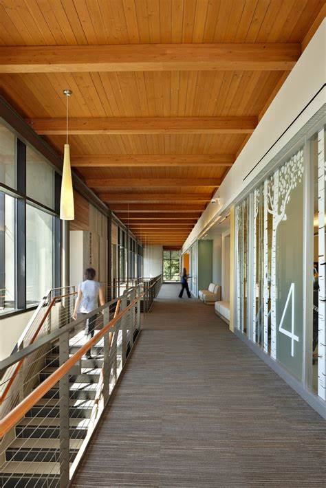 Mass timber for hospitals: engineered wood resists microbes more than plastic