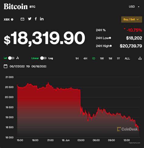 Crypto Market Surges as Bitcoin Breaks $96,000 Amid Bullish Sentiment