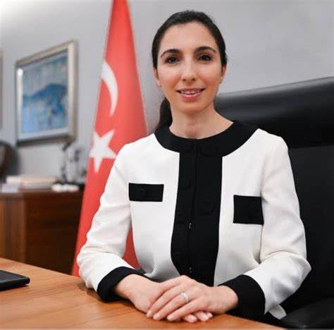 Orthodox Policies In Turkey Unscathed By Erkan’s Resignation - Disruption Banking
