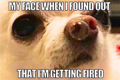 yacine: I got fired today. I'm not sure why