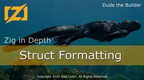 Resizable Structs in Zig