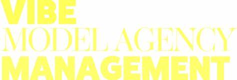 Vibe Managing