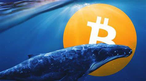 Ancient Bitcoin Whale Moves $BTC to Kraken After Years of Dormancy - Crypto News BTC