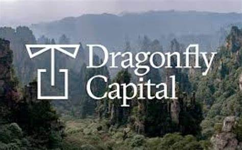 US 'way behind' on crypto regulation: Dragonfly partner
