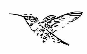 Humming-Bird is a simple, composable, and performant web-framework