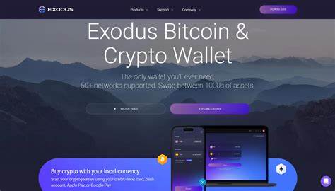 Best 5 Beginner-Friendly Software Crypto Wallets Of 2024 - Jumpstart Media