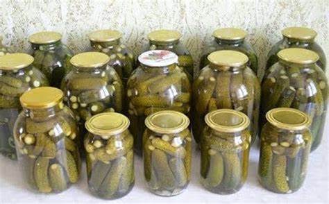 Castraveți la borcan - Castraveți în saramură, pentru iarnă - Crocanți 