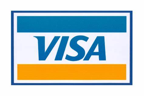 Mizuho Boosts Visa Price Target, Cites Expanding Card Usage Potential