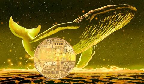 Whales Are Watching These 10 Altcoins: Is a Surge Imminent?: Guest Post by The Bit Journal - CoinMarketCap