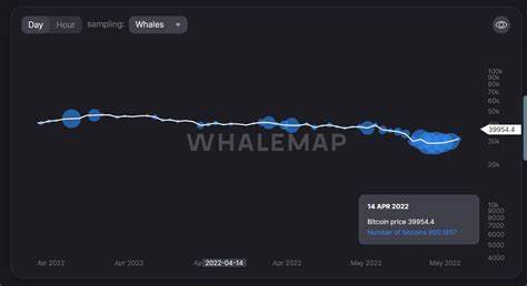 Whales Scoop Up 20,000 BTC In 24-Hour Buying Spree Amid Bitcoin Price Drop - ZyCrypto