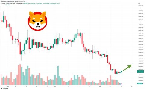 Shiba Inu Seen Exploding 1,000%-7,300%: Bold Predictions Signal Massive Growth - NewsBTC