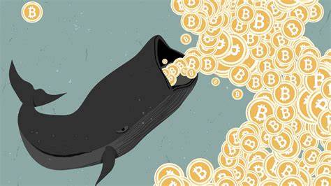 Bitcoin Whales Are Gearing Up For The Next Bitcoin Price Bull Run - Forbes