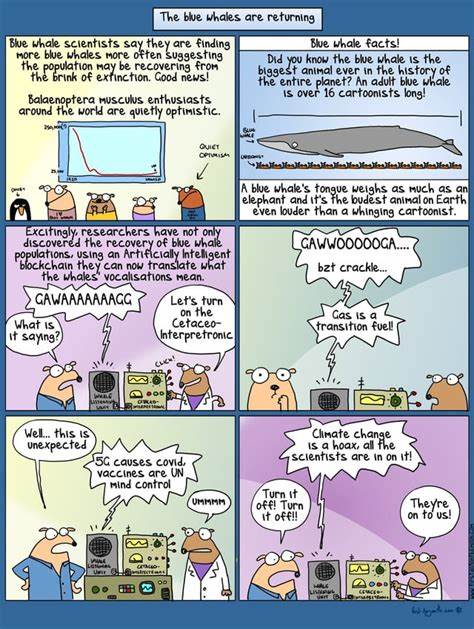 Understand What Whales Are Saying