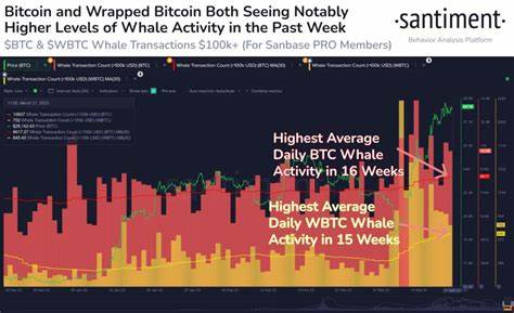 Bitcoin, XRP See Declining Whale Activity: What It Means - TradingView