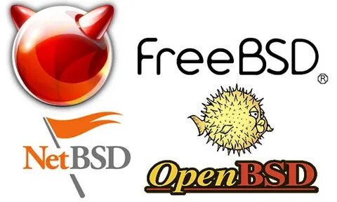 The Main Differences Between OpenBSD, FreeBSD, NetBSD and DragonFly BSD
