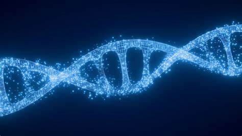 Humans may have untapped 'superpowers' from genes related to hibernation