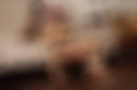 AdultWork.com - Adult Service Providers & Erotic Content - Escorts 