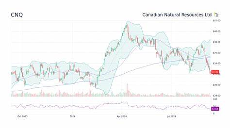 CNQ’s Dividend History: What Investors Should Know Before Buying