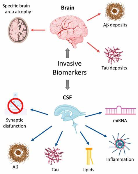 Newborns have elevated levels of a biomarker for Alzheimer's