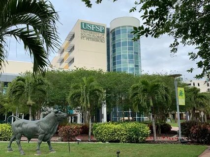 Bitcoin and Future of Finance Talk Brings Large Crowd to USFSP - University of South Florida St. Petersburg