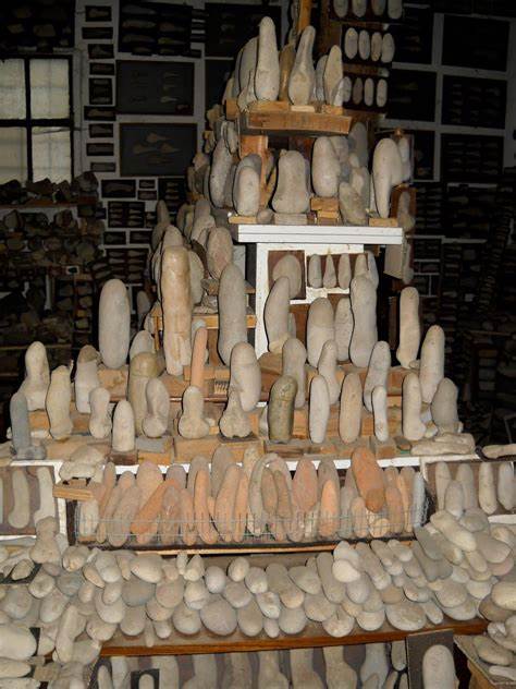 Luigi Lineri, the Man Who Collects and Categorizes Stones (2024)