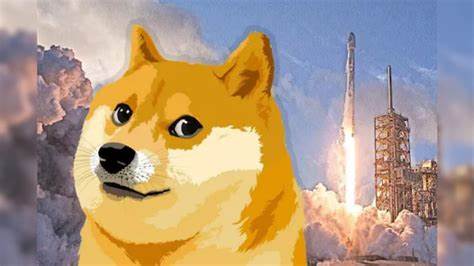 Dogecoin Value Touches 70 Cents: Will Elon Musk's Favorite Meme Cryptocurrency Be Worth a Dollar Soon? - News18
