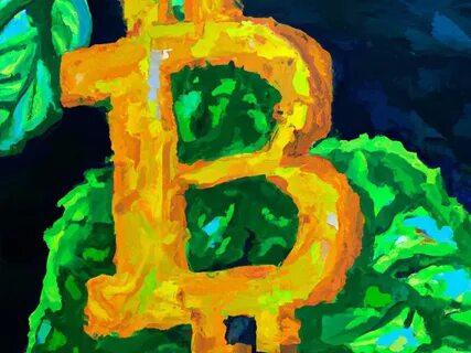 Can You Believe It? Bitcoin Looks Stable – Green, Even – as Big Tech Stocks Fall Apart - CoinDesk