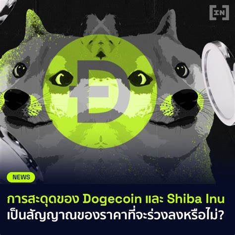 Dogecoin (DOGE) Active Addresses Soar to Record High, Yet $1 Still Out of Reach - BeInCrypto