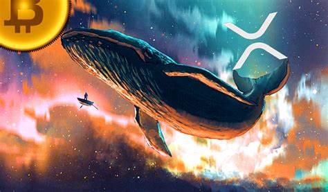 XRP whales attempt breakout above $3, but retail traders back this viral altcoin - crypto.news