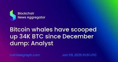 Bitcoin whales have scooped up 34K BTC since December dump: Analyst - Cointelegraph