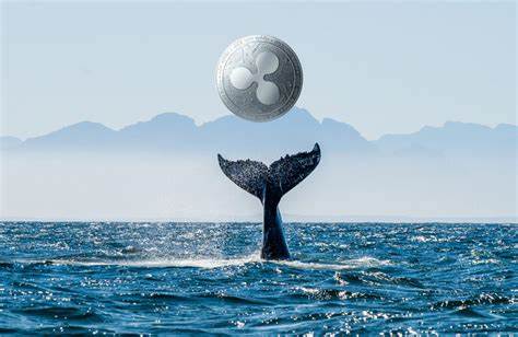 Ripple Whale: It Only Takes $20,000 To Become a XRP One-Percenter - NewsBTC