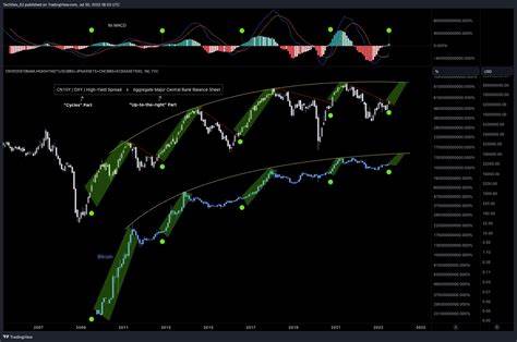 Bitcoin Could Explode 379% if This Indicator Is Correct, According to Crypto Analyst - The Daily Hodl