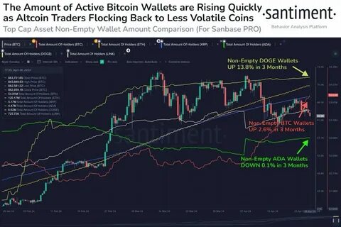 Non-Empty Bitcoin Wallets Surge to 54.72M, Just 0.018% from ATH: Is This a Bullish Signal? - The Crypto Basic