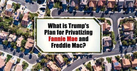 Fannie Mae and Freddie Mac privatization: What it means for homebuyers